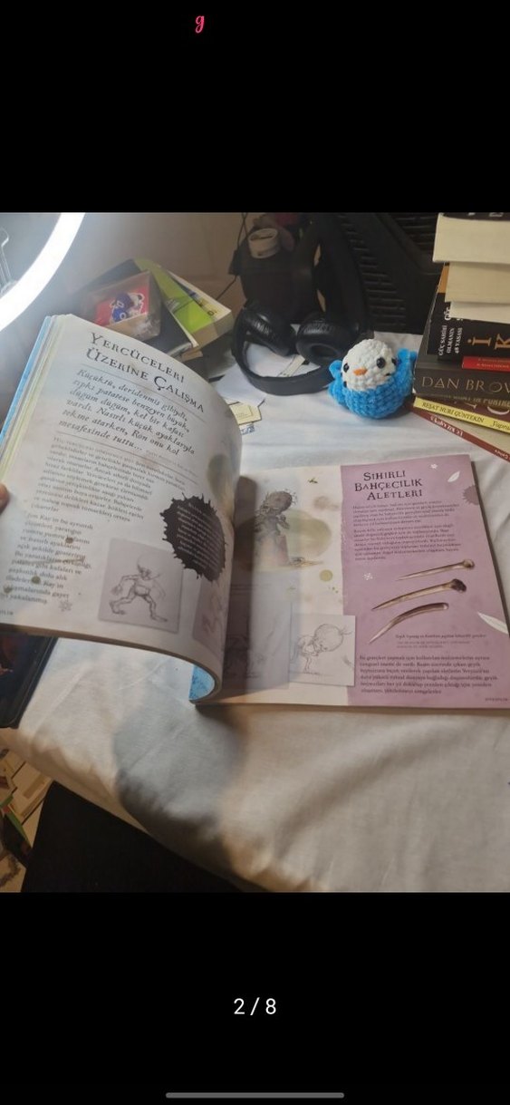 Harry Potter Sihir Tarihinde Bir Yolculuk - Görsel 2