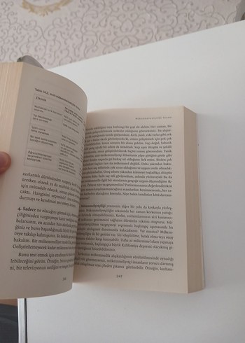 Beden İyi Hissetmek - Duygudurum Tedavisi Kitabı