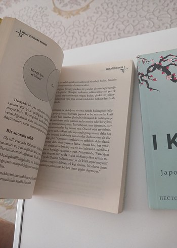  IKIGAI Uygulama Rehberi ve Japonların Yaşam Sırrı