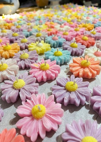 Pastel Renkli Papatya Şeklinde Mumlar