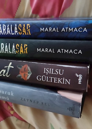 DÖRT KİTAP ÜÇ YÜZ LİRA HEPSİ CİLTLİ - Görsel 3