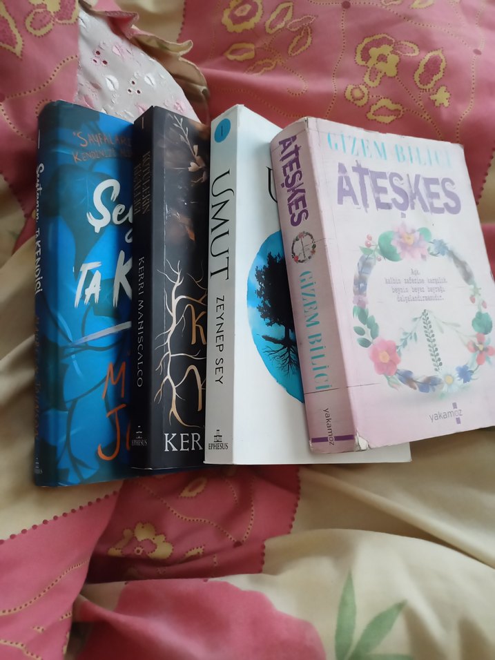 DÖRT KİTAP 250 TL - Görsel 2