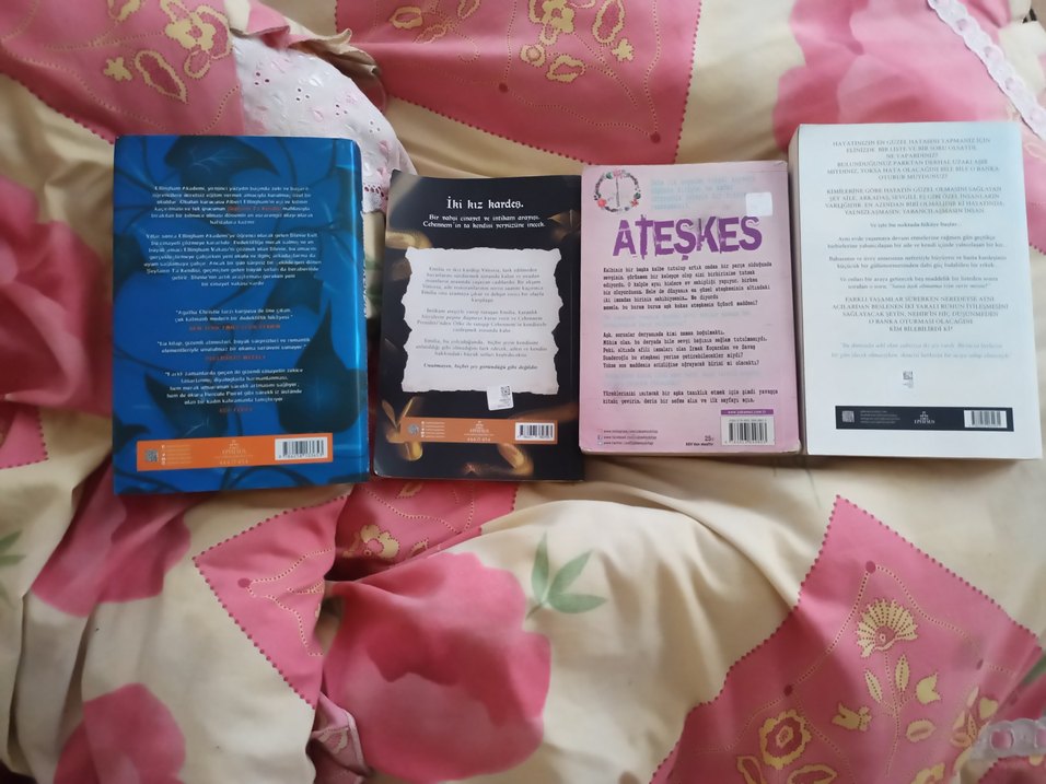 DÖRT KİTAP 250 TL - Görsel 4