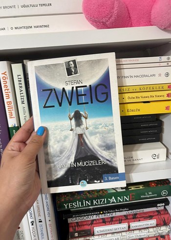 Hayatın Mucizeleri - Stefan Zweig - Görsel 5