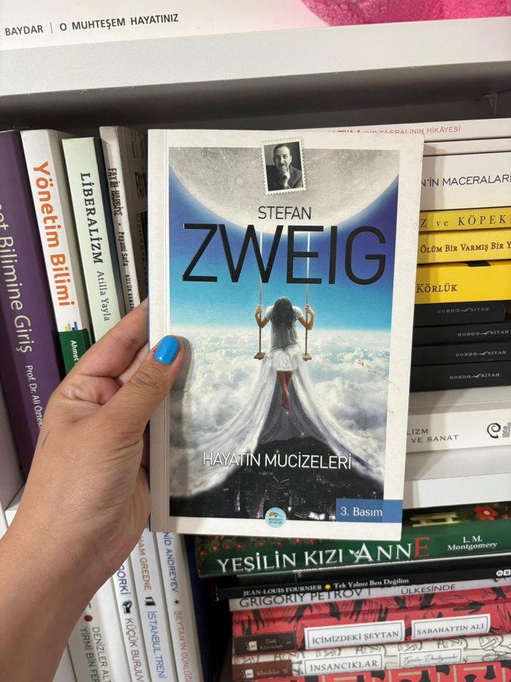 Hayatın Mucizeleri - Stefan Zweig - Görsel 4