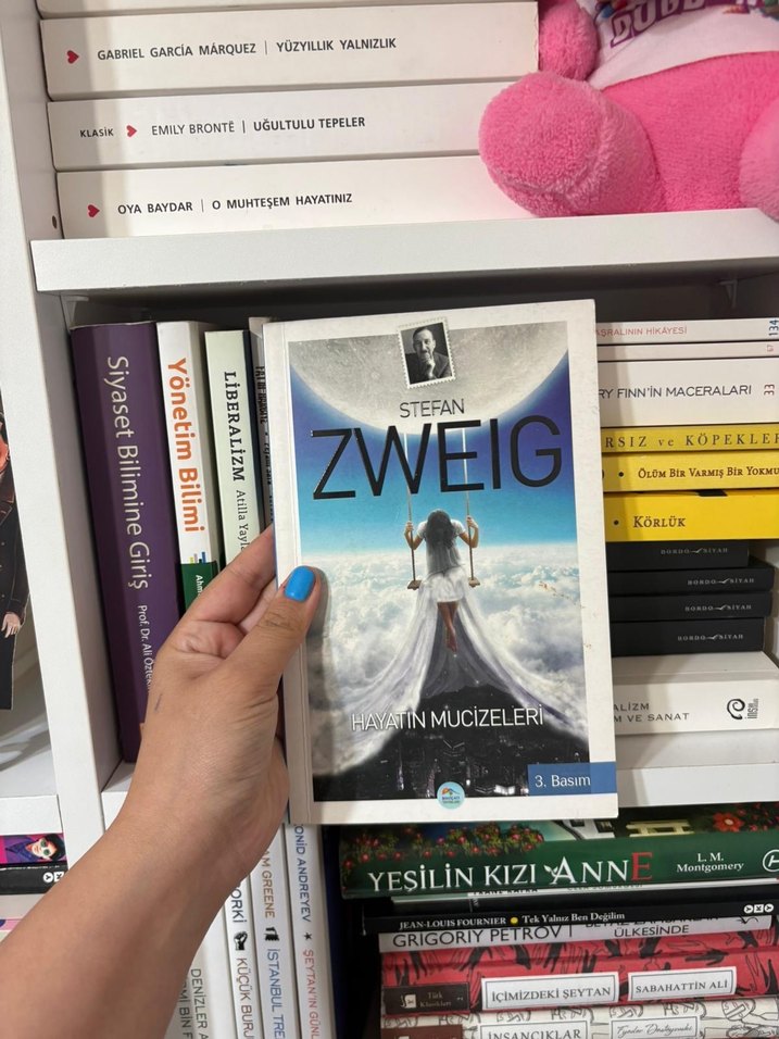 Hayatın Mucizeleri - Stefan Zweig - Görsel 3