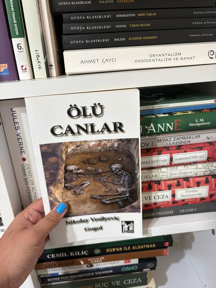 Ölü Canlar - Nikolay Yeşiyeviç Gogol - Görsel 2