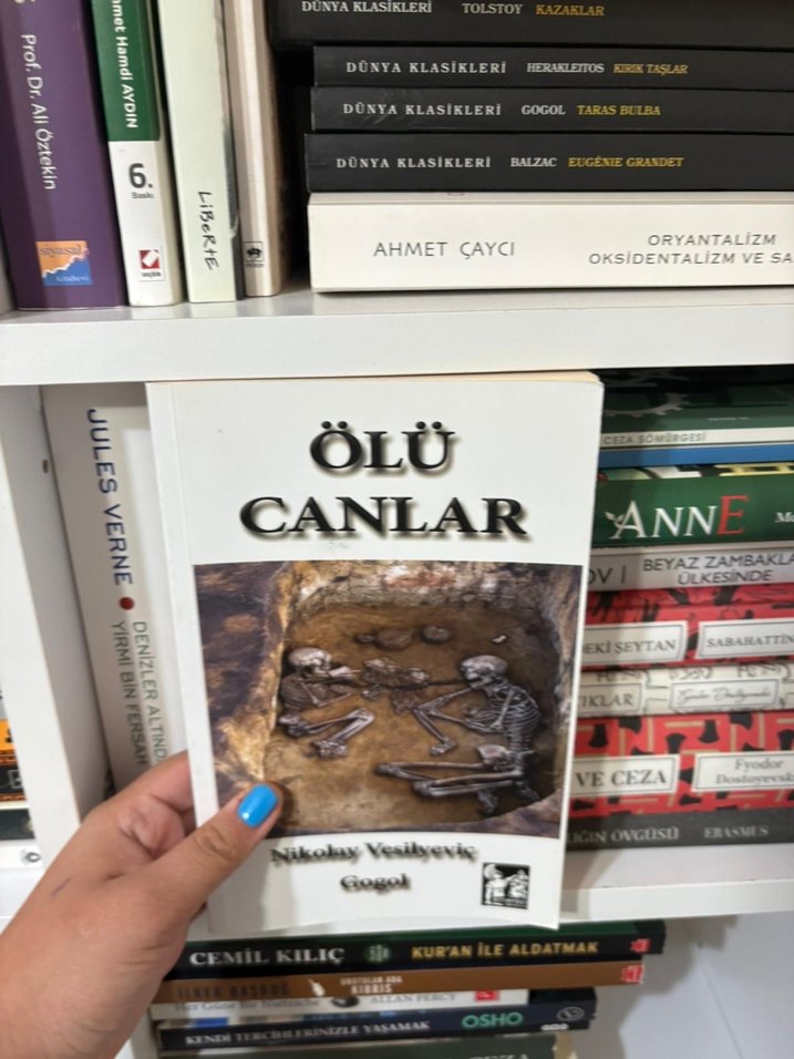 Ölü Canlar - Nikolay Yeşiyeviç Gogol - Görsel 4