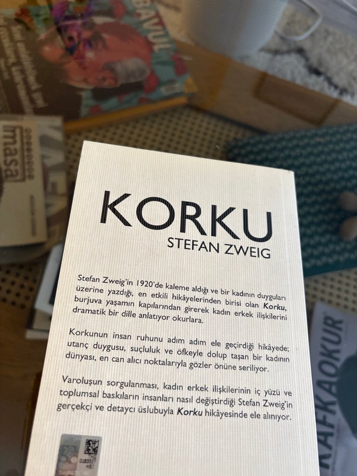 Korku - Stefan Zweig, Eda Aksan Çevirisi - Görsel 4