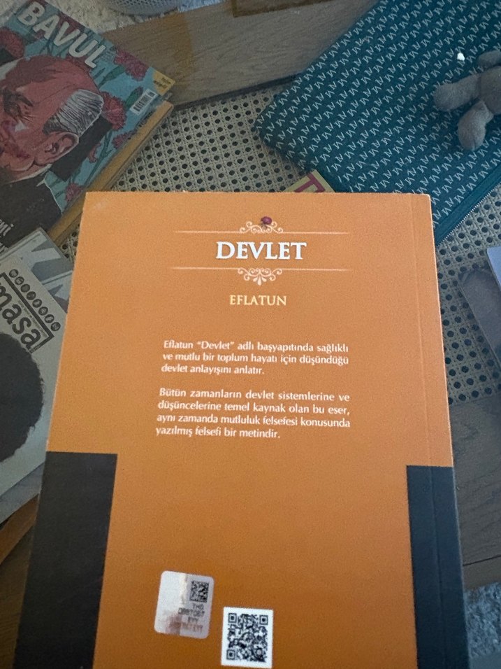 Devlet - Eflatun Roman - Görsel 2