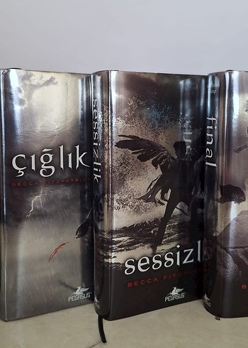 Hush hush serisi 4 kitap ciltli - Görsel 2