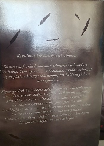 Hush hush serisi 4 kitap ciltli - Görsel 3