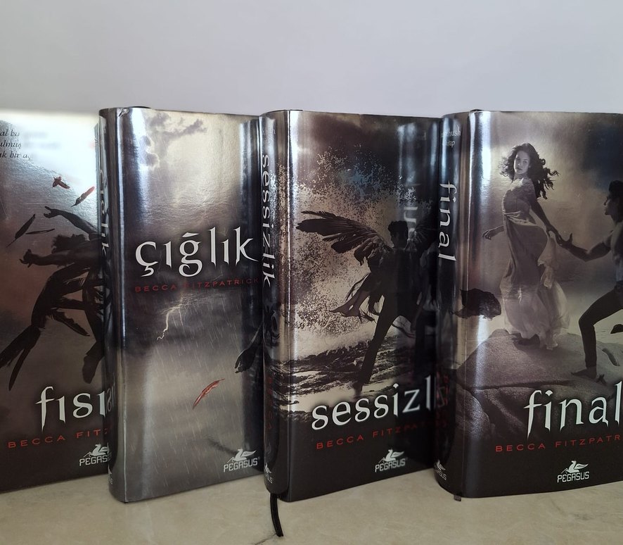 Hush hush serisi 4 kitap ciltli - Görsel 2