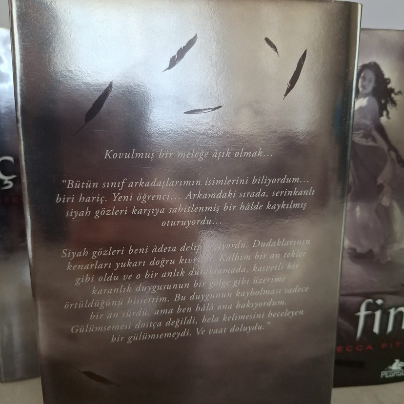 Hush hush serisi 4 kitap ciltli - Görsel 3