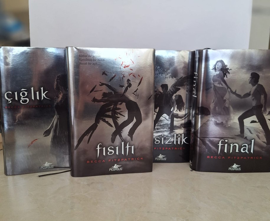Hush hush serisi 4 kitap ciltli - Görsel 4