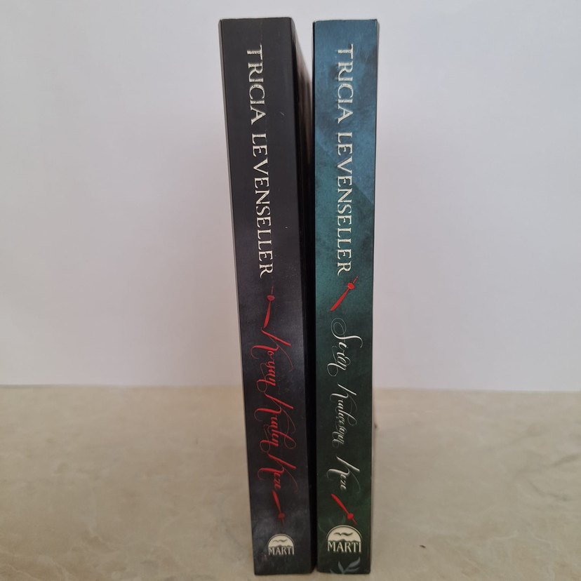 Korsan kralın kızı serisi 2 kitap - Görsel 2