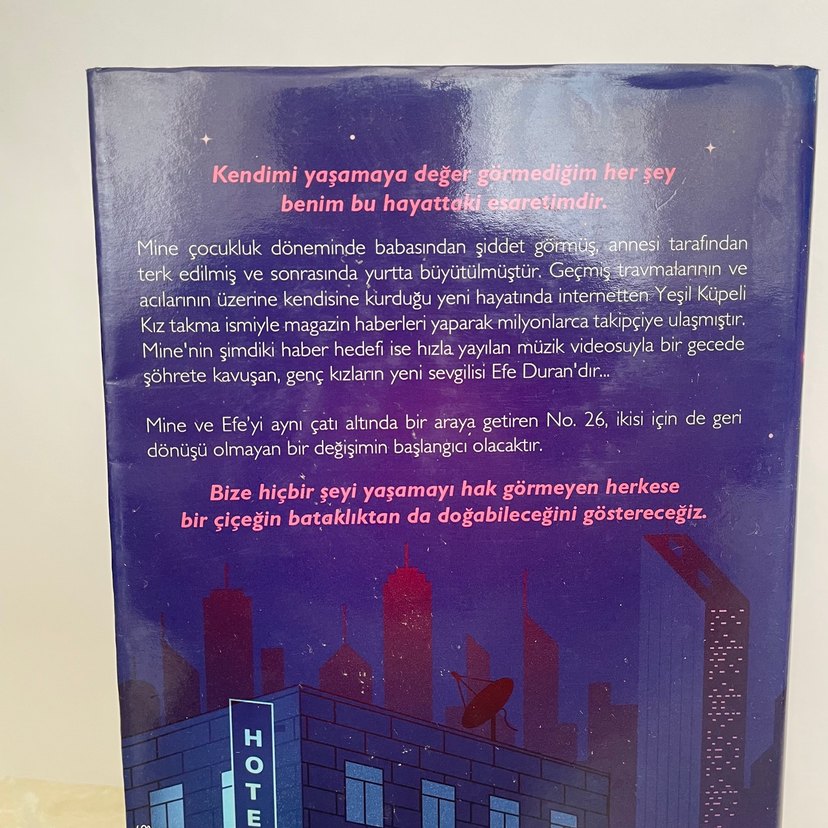 No. 26 - Beyza Alkoç Roman - Görsel 2
