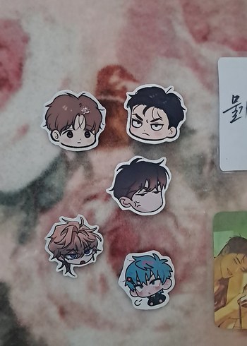 Bl Yaoi photocard ve rozet
