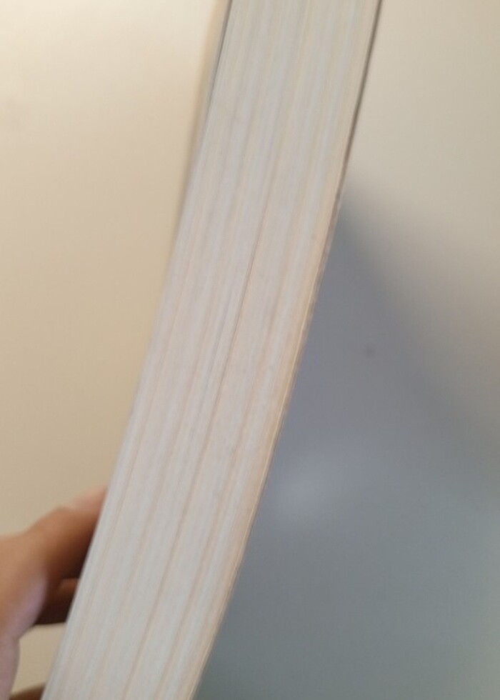 Mantıkut tayr - Görsel 4