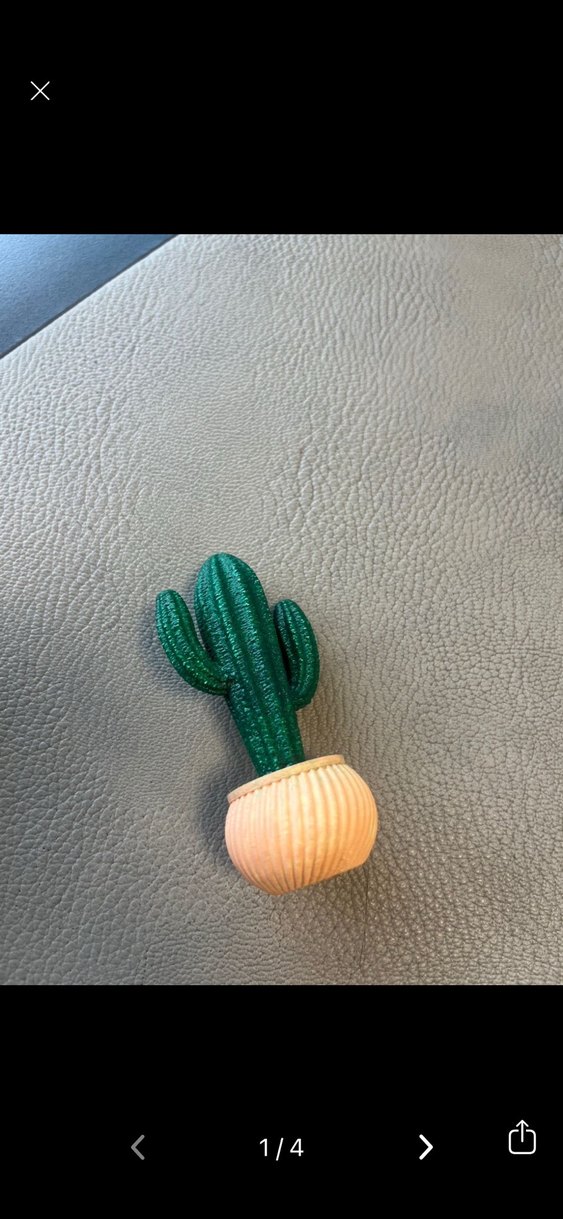 3 D baskı Kaktüs Figürü - Görsel 2