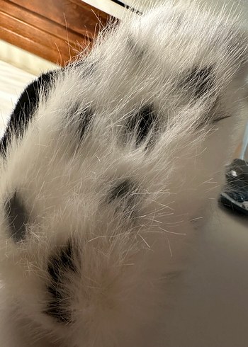 kalpak şeklinde şık kadın şapka - Görsel 4