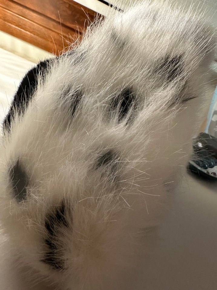 kalpak şeklinde şık kadın şapka - Görsel 4