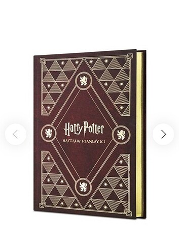 Harry Potter ajanda 