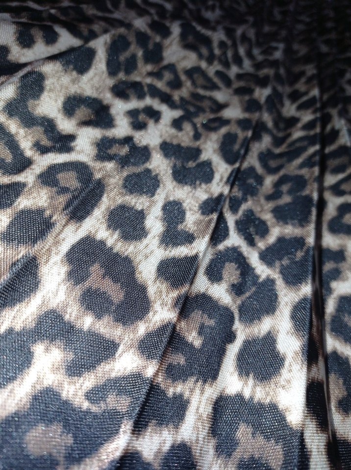 Leopar Desenli Uzun Pileli Etek - Görsel 4