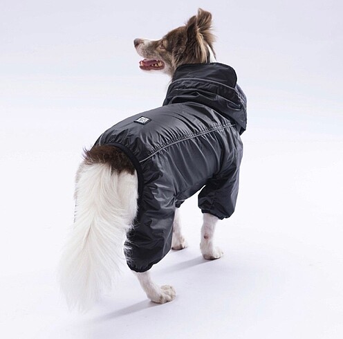 Köpek Kıyafeti