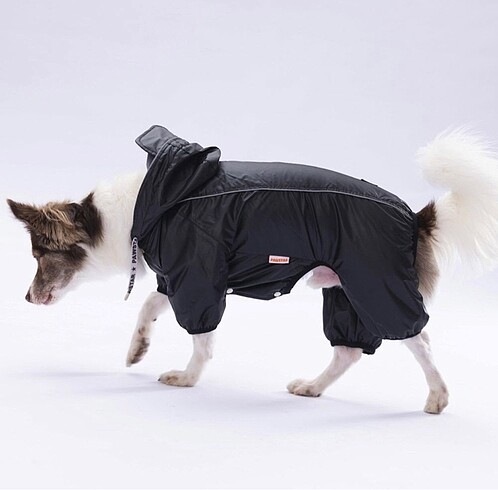 Beden Renk Köpek Kıyafeti