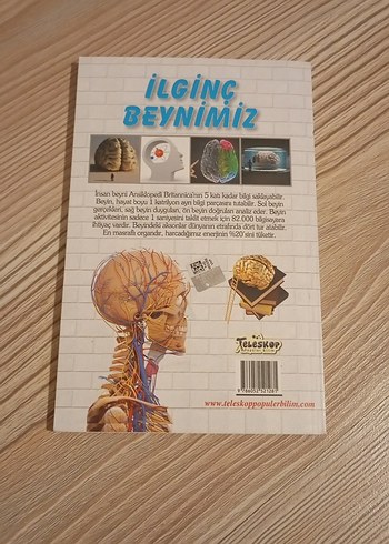  İlginç Beynimiz Kitabı