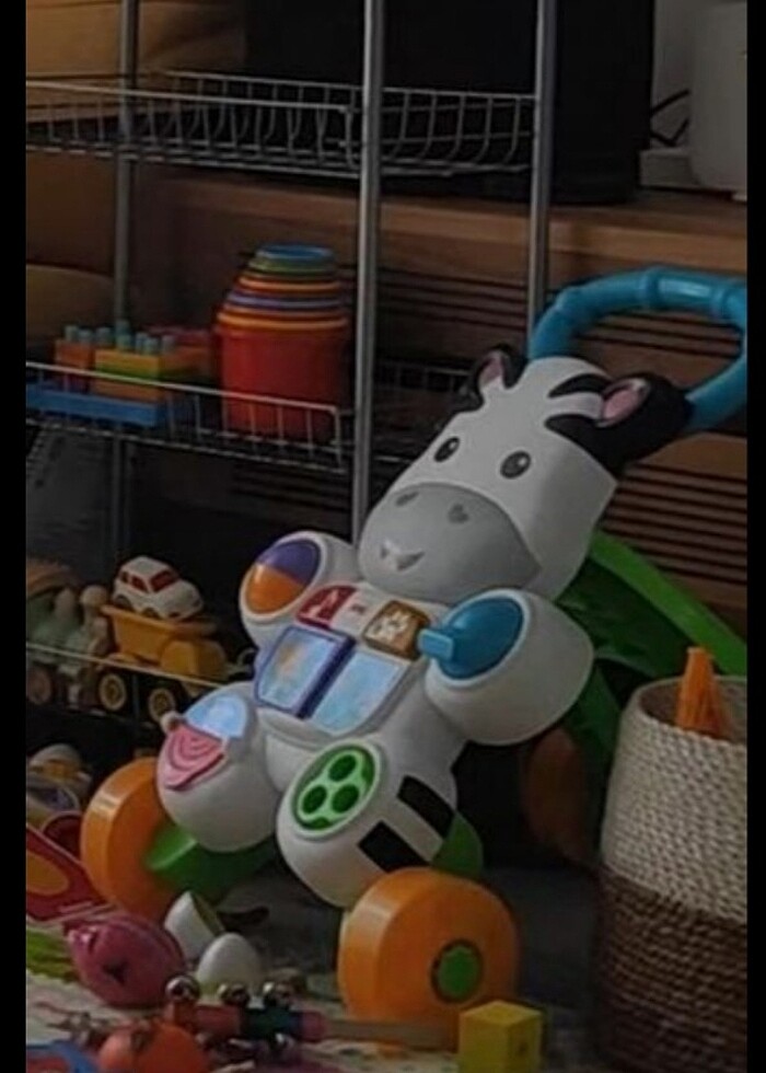 Yürüme arkadaşı,yürüteç - Görsel 2