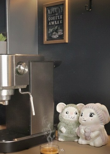 sevımli fare çift - Görsel 5