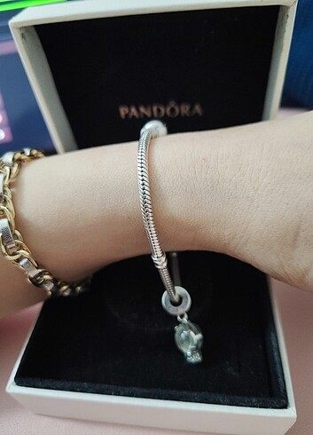 Beden Pandora 19cm