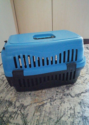 Kedi puseti - Görsel 2