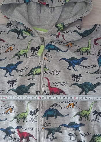 H&M Kapüşonlu Dinozor Baskılı Erkek Çocuk Sweatshirt - Görsel 5