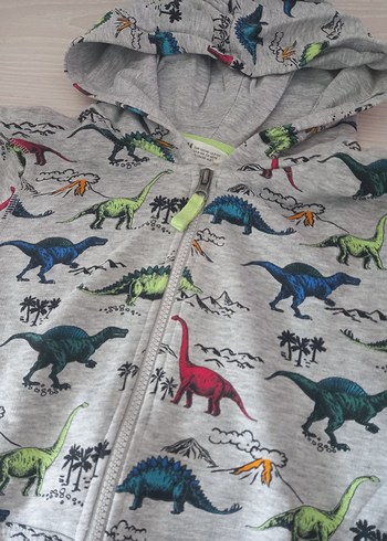 H&M Kapüşonlu Dinozor Baskılı Erkek Çocuk Sweatshirt - Görsel 2