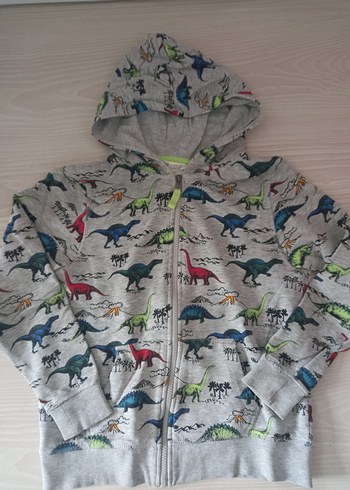 H&M Kapüşonlu Dinozor Baskılı Erkek Çocuk Sweatshirt - Görsel 8