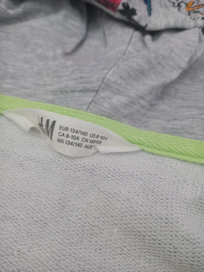 H&M Kapüşonlu Dinozor Baskılı Erkek Çocuk Sweatshirt - Görsel 3