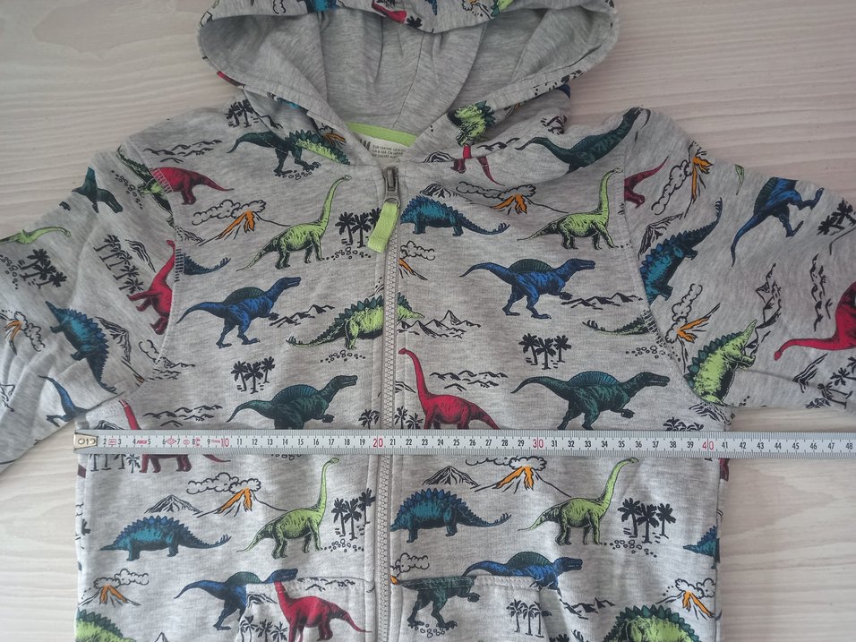 H&M Kapüşonlu Dinozor Baskılı Erkek Çocuk Sweatshirt - Görsel 5