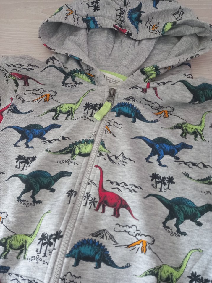 H&M Kapüşonlu Dinozor Baskılı Erkek Çocuk Sweatshirt - Görsel 2