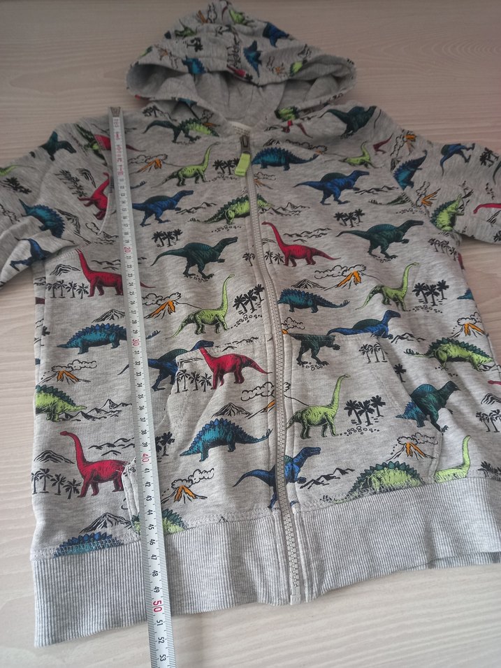 H&M Kapüşonlu Dinozor Baskılı Erkek Çocuk Sweatshirt - Görsel 4
