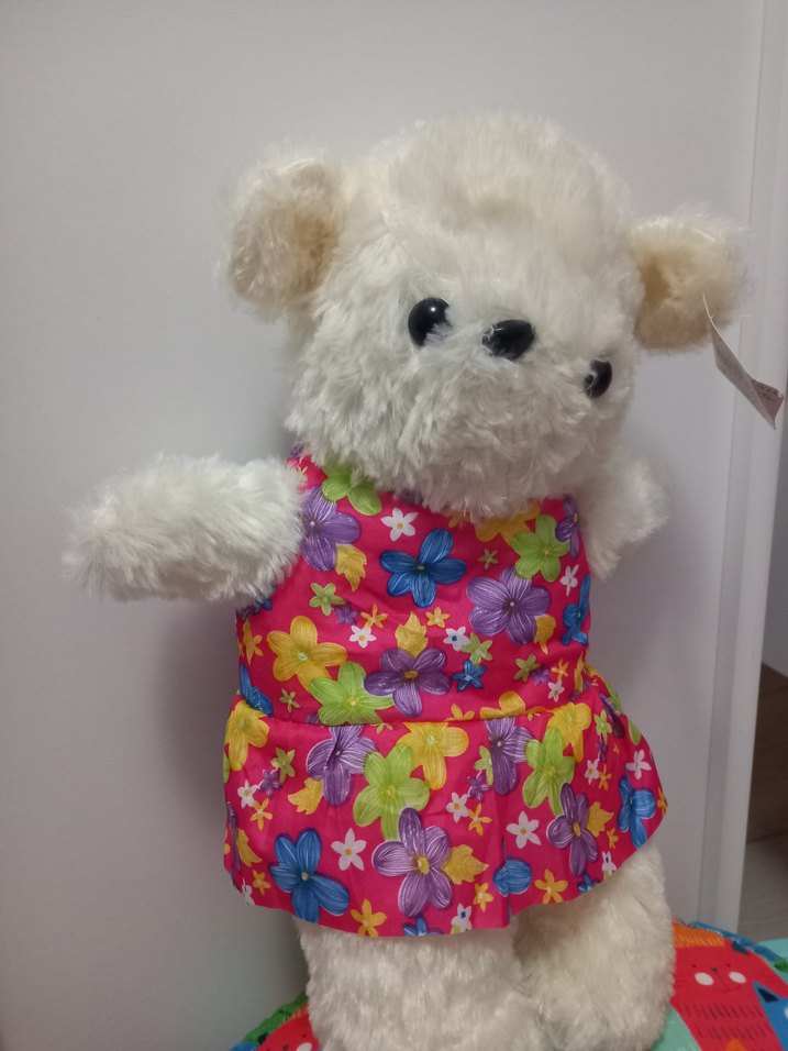 Sevimli Peluş Ayı - Görsel 2