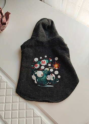 Kedi köpek kapüşonlu 