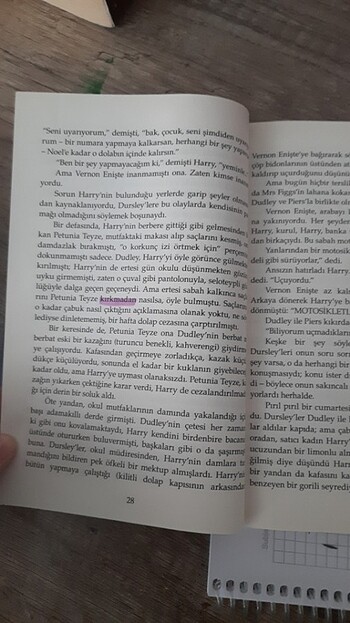 Beden Renk Harry potter 1 felsefe taşı