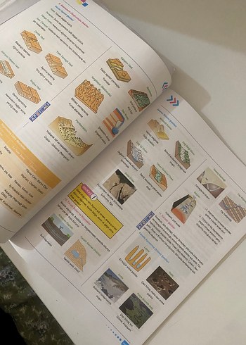 Beden Renk TYT Sosyal Bilimler Konu Özeti Kitabıtyt