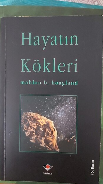 Hayat Kökleri