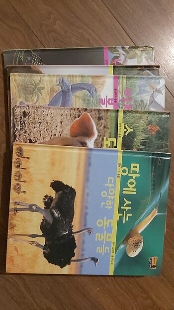 Orginal Kore Çocuk Kitapları 5adet 100tl