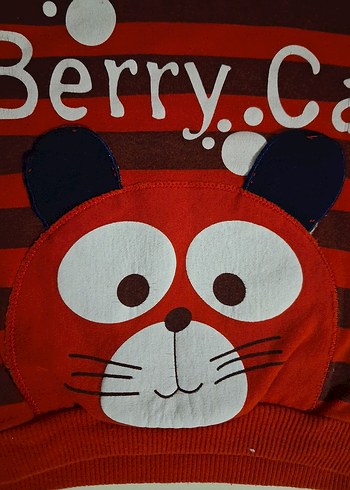 Erkek Çocuk Kırmızı Çizgili Sweatshirt - Görsel 2