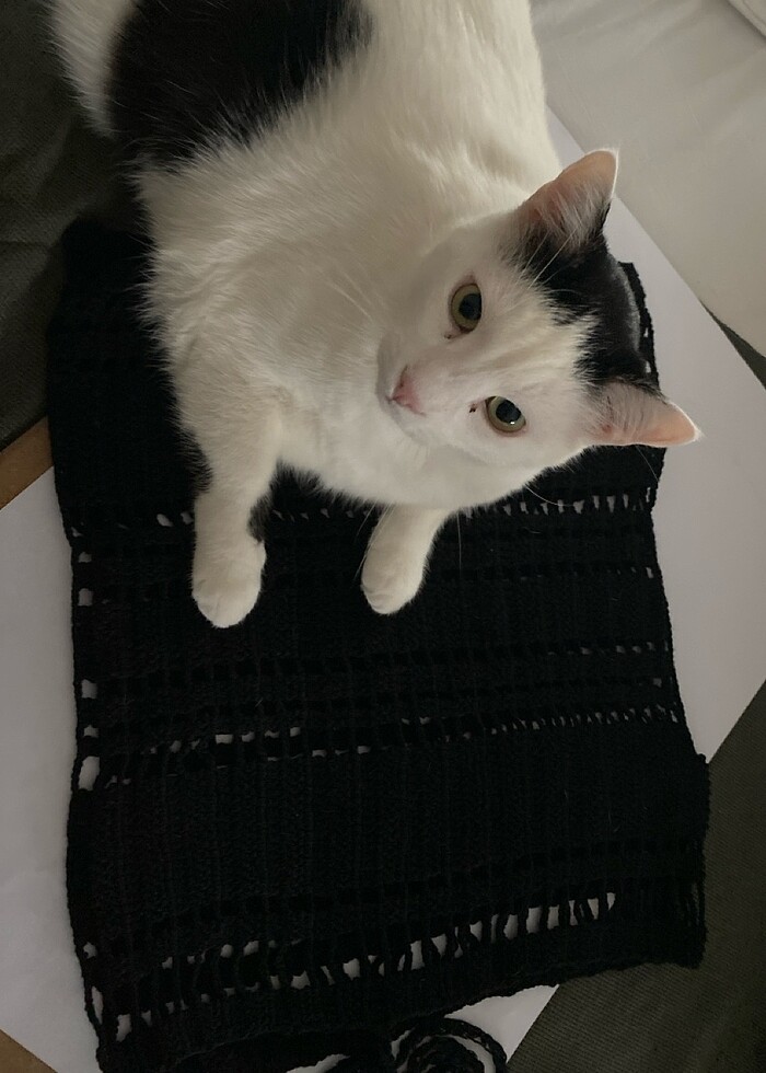 Tığ işi aksesuar süeter - Görsel 3